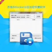 Bitlocker分区恢复软件个人版与专业版哪个好