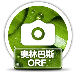 赤兔奥林斯巴相机ORF图片恢复