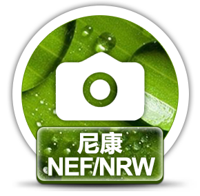 赤兔尼康相机NEF/NRW图片恢复
